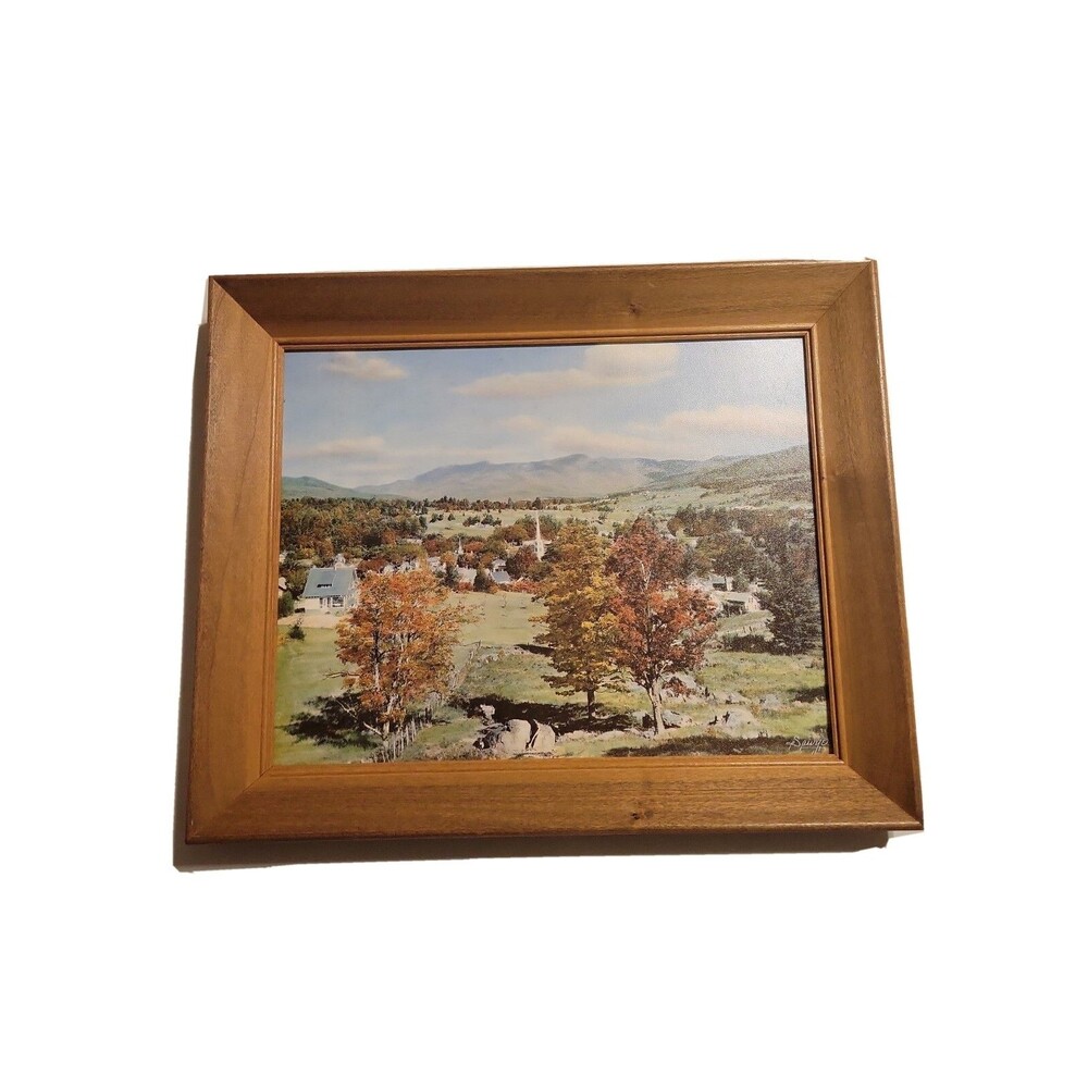VTG Charles Sawyer Mount Mansfield Vermont Hand Colored Photograph Framed VT NH